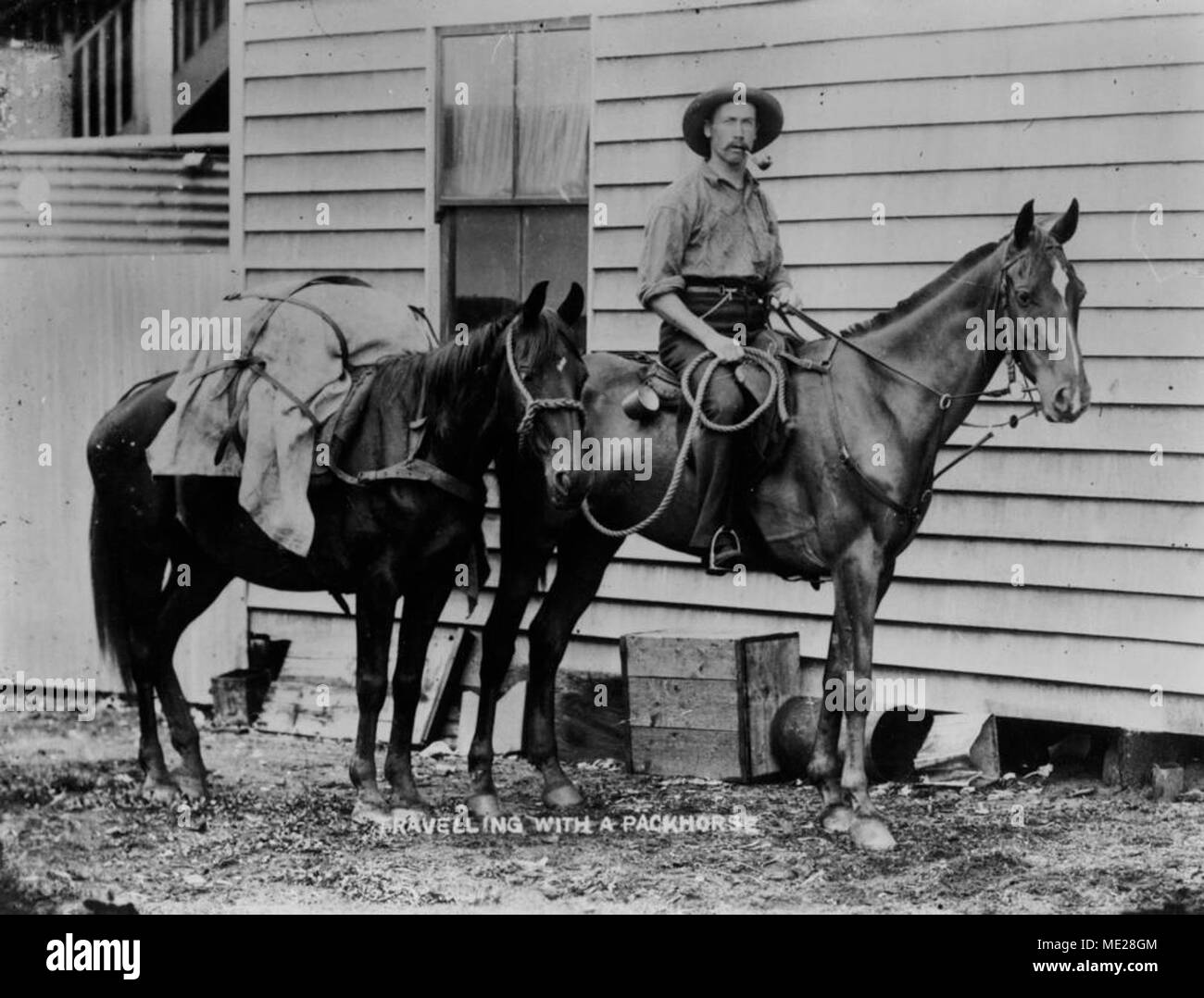 Reisen mit einem Packesel im Bezirk Herberton, ca 1898. Stockfoto