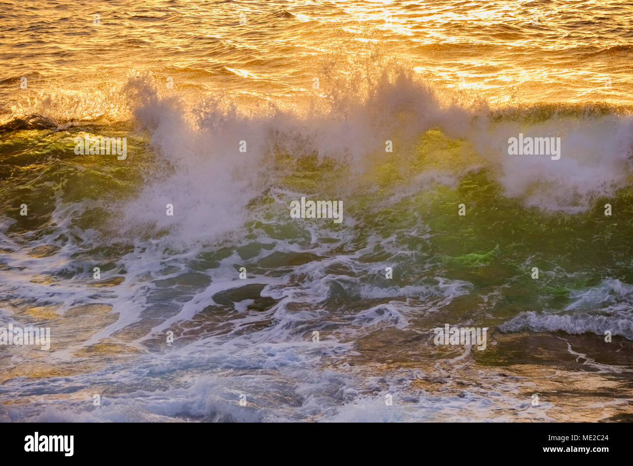 Wave im Abendlicht, Atlantik, La Gomera, Kanarische Inseln, Kanarische Inseln, Spanien Stockfoto
