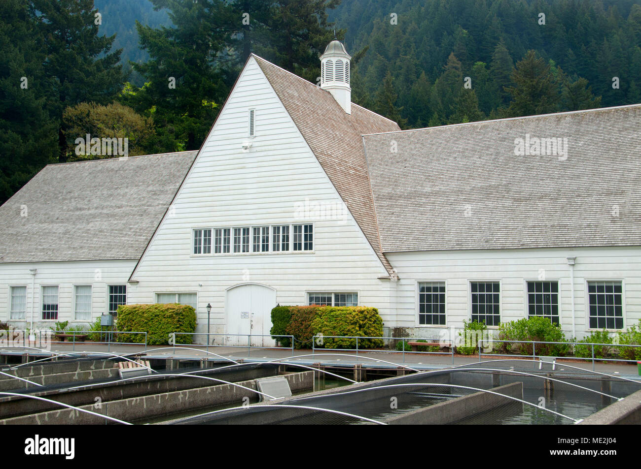 Ei Inkubation Gebäude, Bonneville Fischzuchtanstalt, Columbia River Gorge National Scenic Area, Oregon Stockfoto