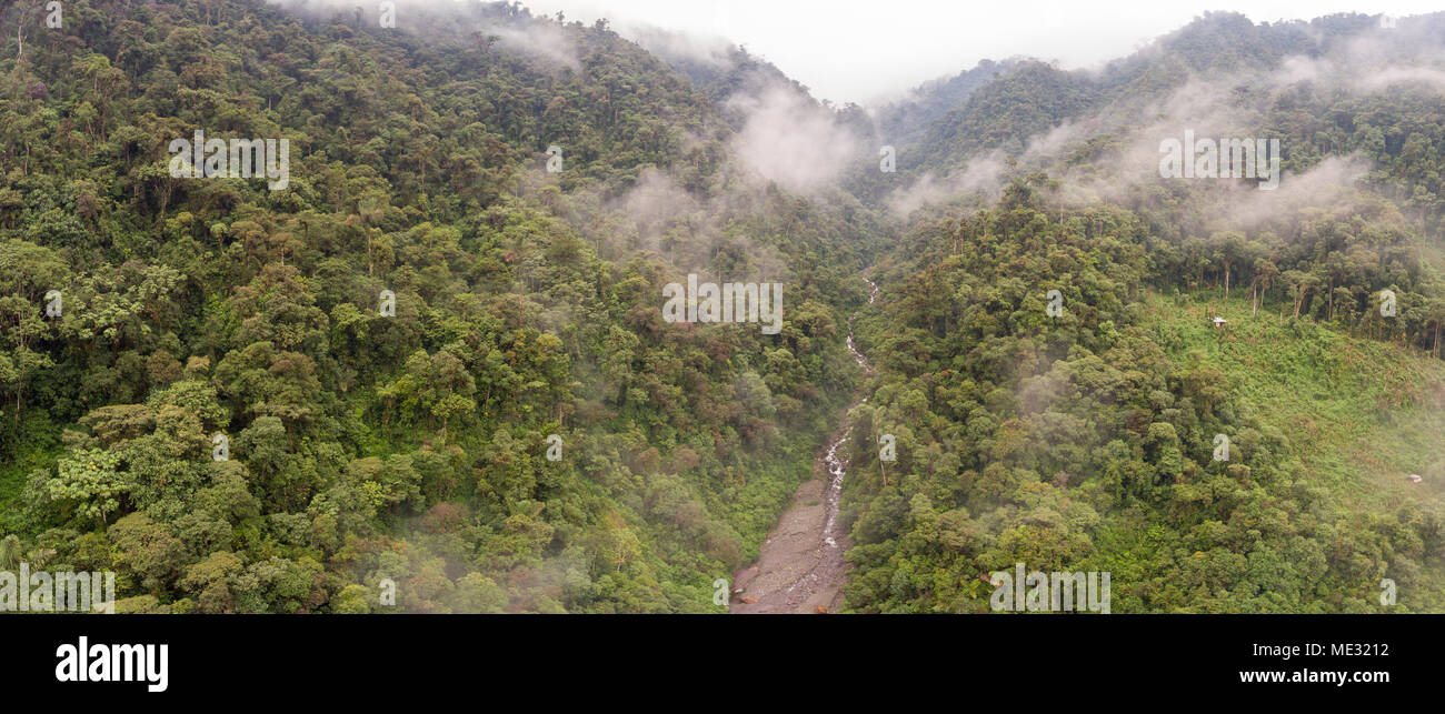 Antenne Panorama von einem Gebirgsbach in eine steile Rinne in unberührter montane Regenwald am Amazonas Hängen der Anden in der Provinz Morona Santiago, Stockfoto