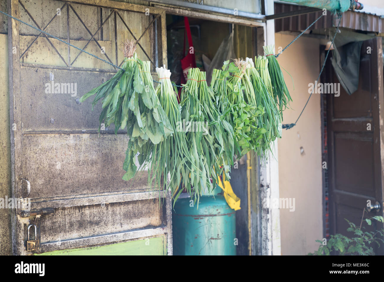 Gemüse Aufhängelinie außen Hintertür der asiatischen Stadt Restaurant in engen Straße. Stockfoto