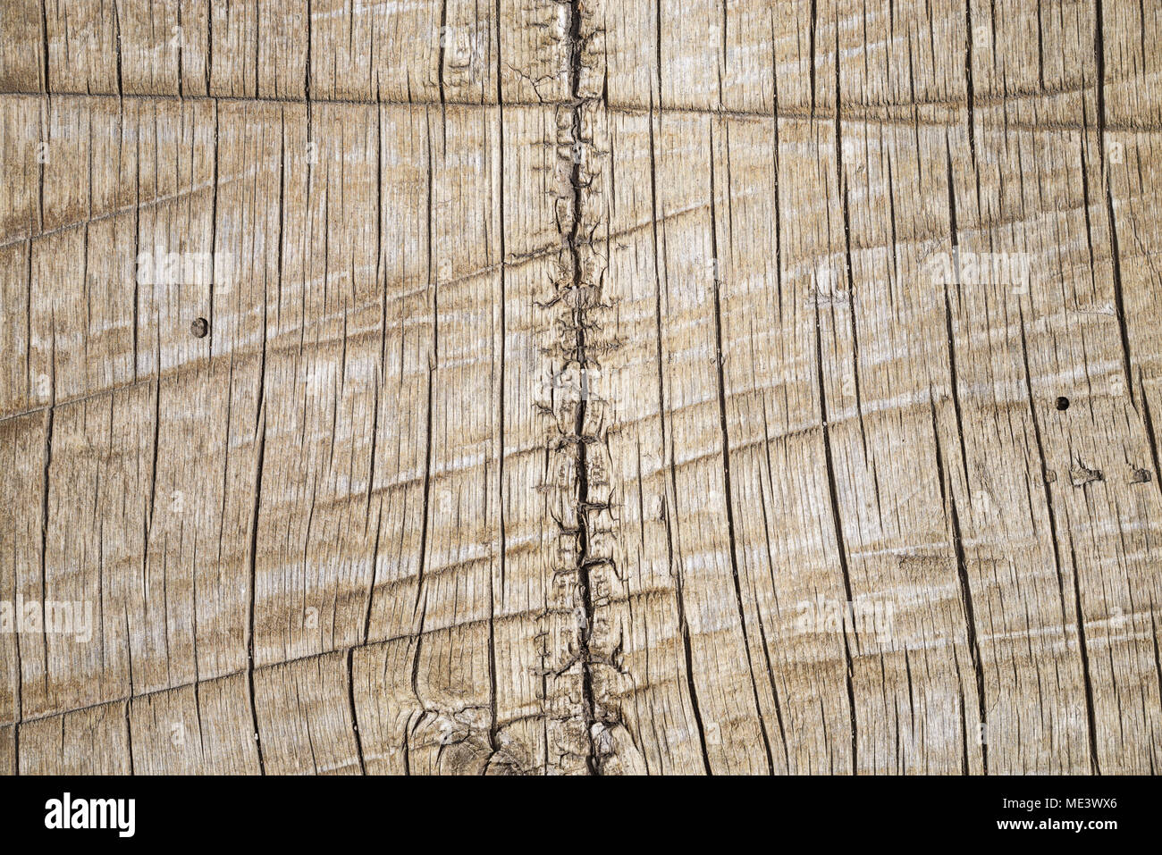 Grob gesägten Holz Hintergrund log mit Splits und Risse Stockfoto