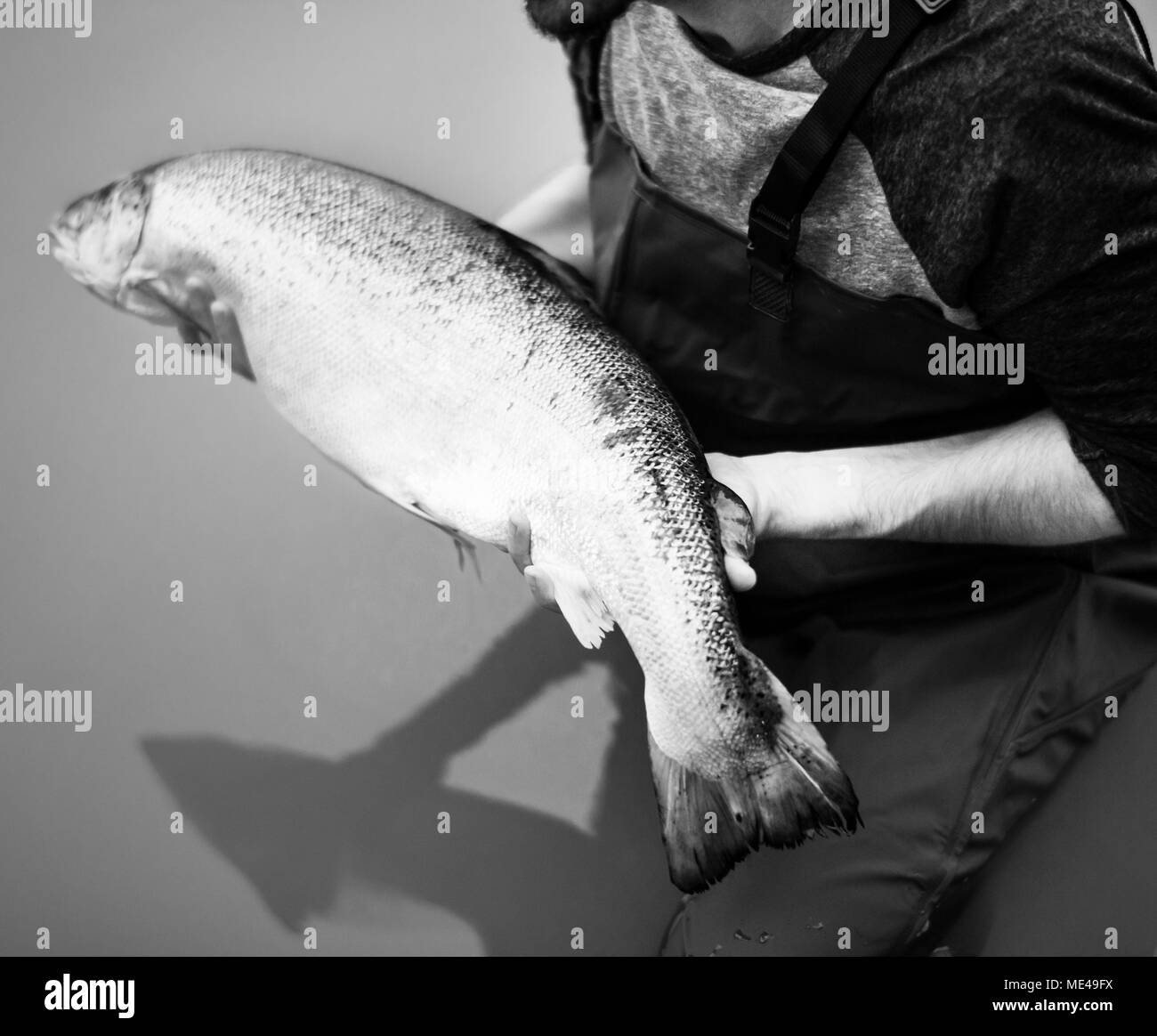 Mann gefangenen Lachs Fisch Stockfoto