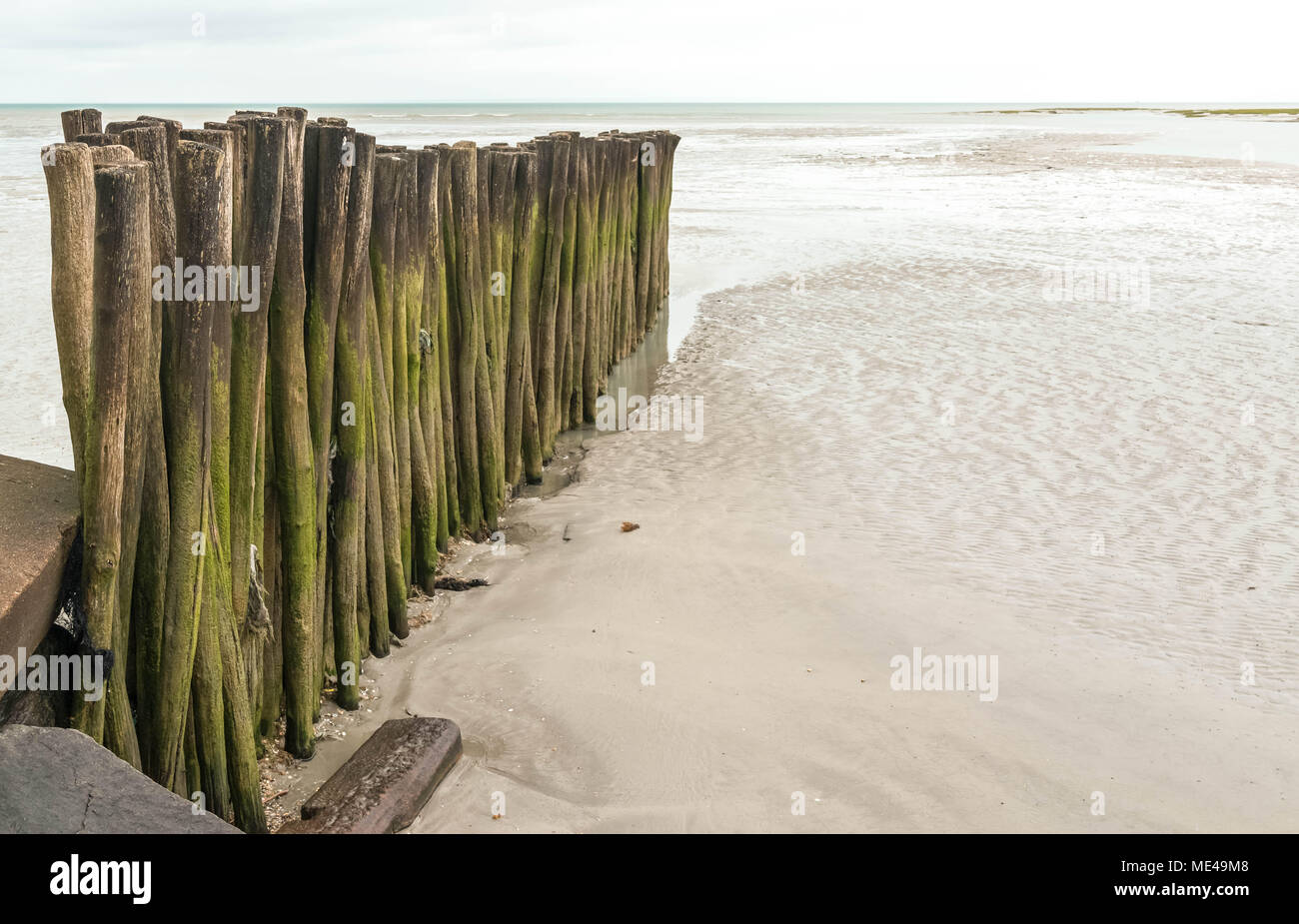 Alten hölzernen Pfähle in den Sand auf dem Hintergrund der Ozean Stockfoto