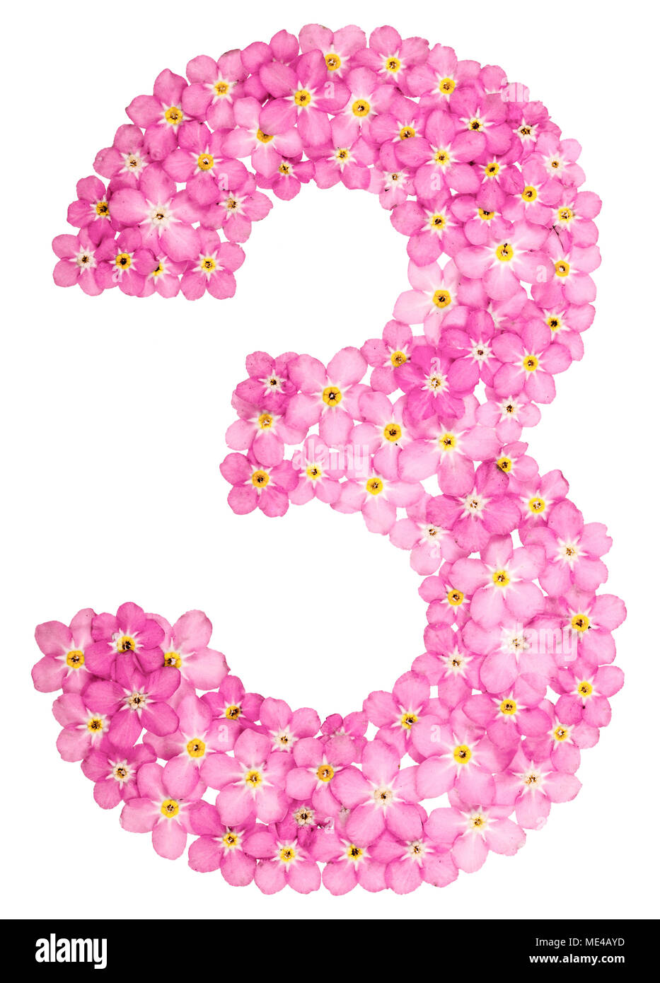 Arabische Zahl 3, Drei, von rosa Vergissmeinnicht Blumen, auf weißem Hintergrund Stockfoto