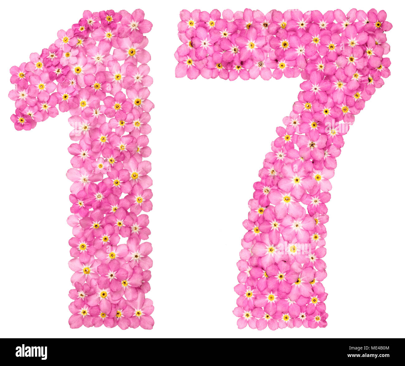 Arabische Zahl 17, siebzehn, von rosa Vergissmeinnicht Blumen, auf weißem  Hintergrund Stockfotografie - Alamy