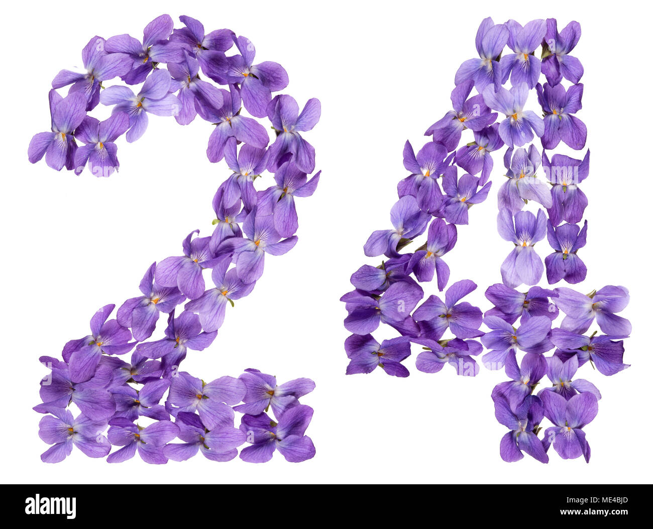 Arabische Zahlen 24, 24, von Blumen von Viola, auf weißem Hintergrund Stockfoto