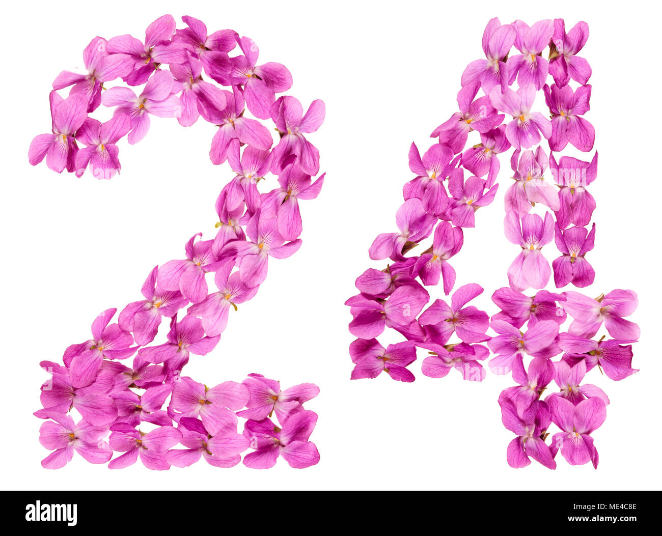 Arabische Zahlen 24, 24, von Blumen von Viola, auf weißem Hintergrund Stockfoto