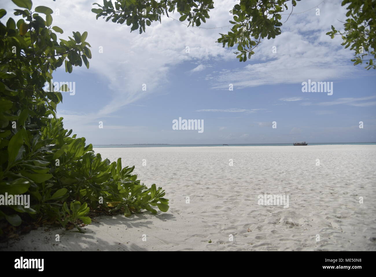 Unberührten tropischen weißen Sandstrand mit viel Grün, Malediven Stockfoto