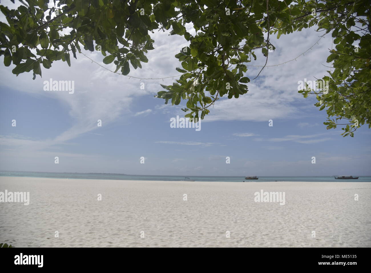 Pristine tropical White Sand Beach, Malediven Stockfoto