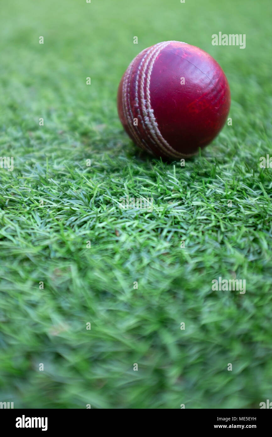 Cricketball auf Rasen Stockfoto