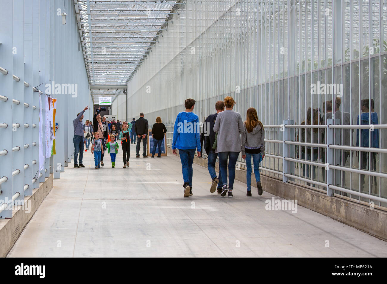 Menschen zu Fuß in langen Korridor der Niederländischen Gewächshaus Stockfoto