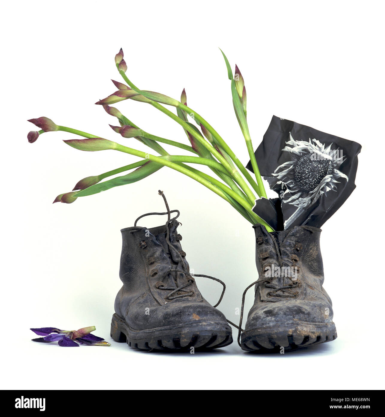 Iris Blumen in verschlissenen Stiefel Stockfoto