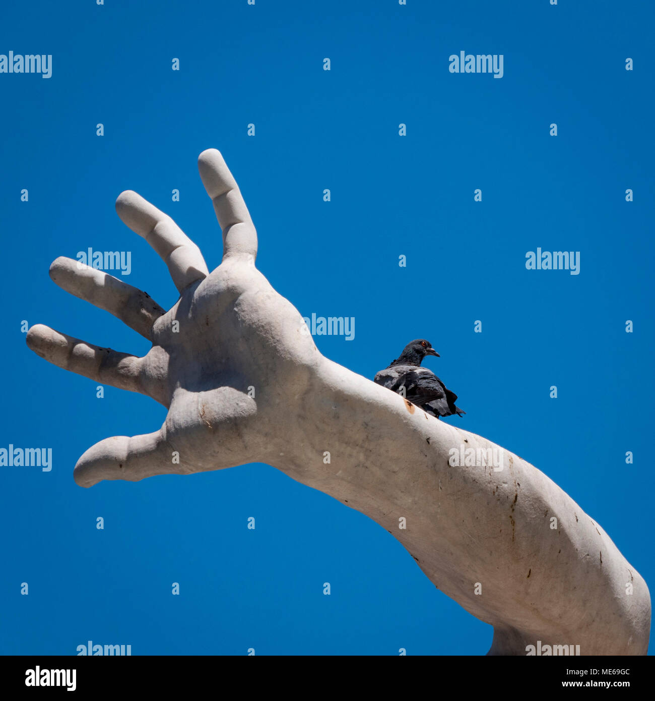 Vogel auf dem Arm einer Skulptur. Roma. Italien Stockfoto