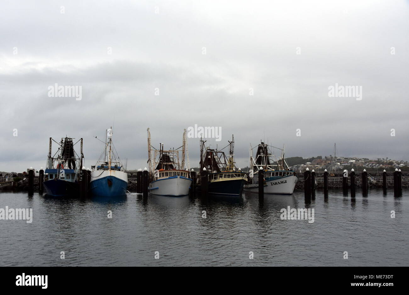 Coffs Harbour, Australien - Dez 31, 2017. Fischerboote in der Marina in Solitary Islands Marine Park an einem bewölkten Tag. Stockfoto