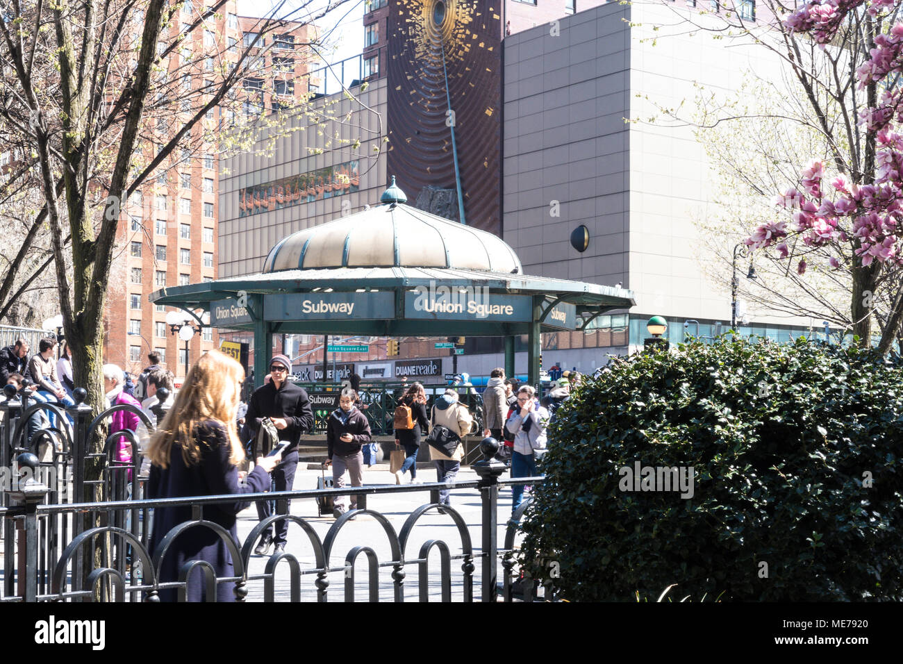 Frühling im Union Square Park, New York, USA Stockfoto