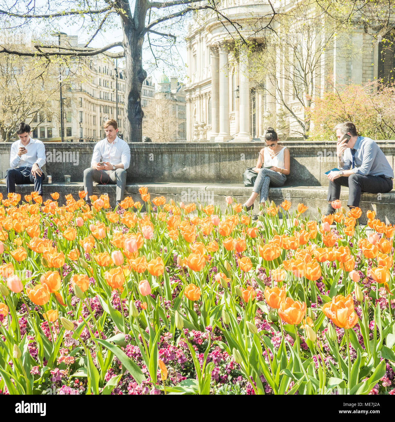 In einem Garten in der Nähe der St. Pauls Kathedrale checken Menschen ihre Handys. Stockfoto
