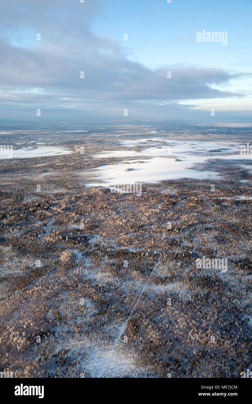 Wald von Plain im Winter Stockfoto