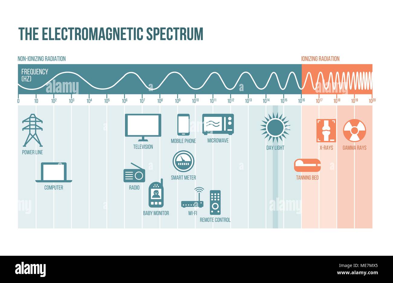 Das elektromagnetische Spektrum Diagramm mit Frequenzen, Wellen und Beispiele Stock Vektor