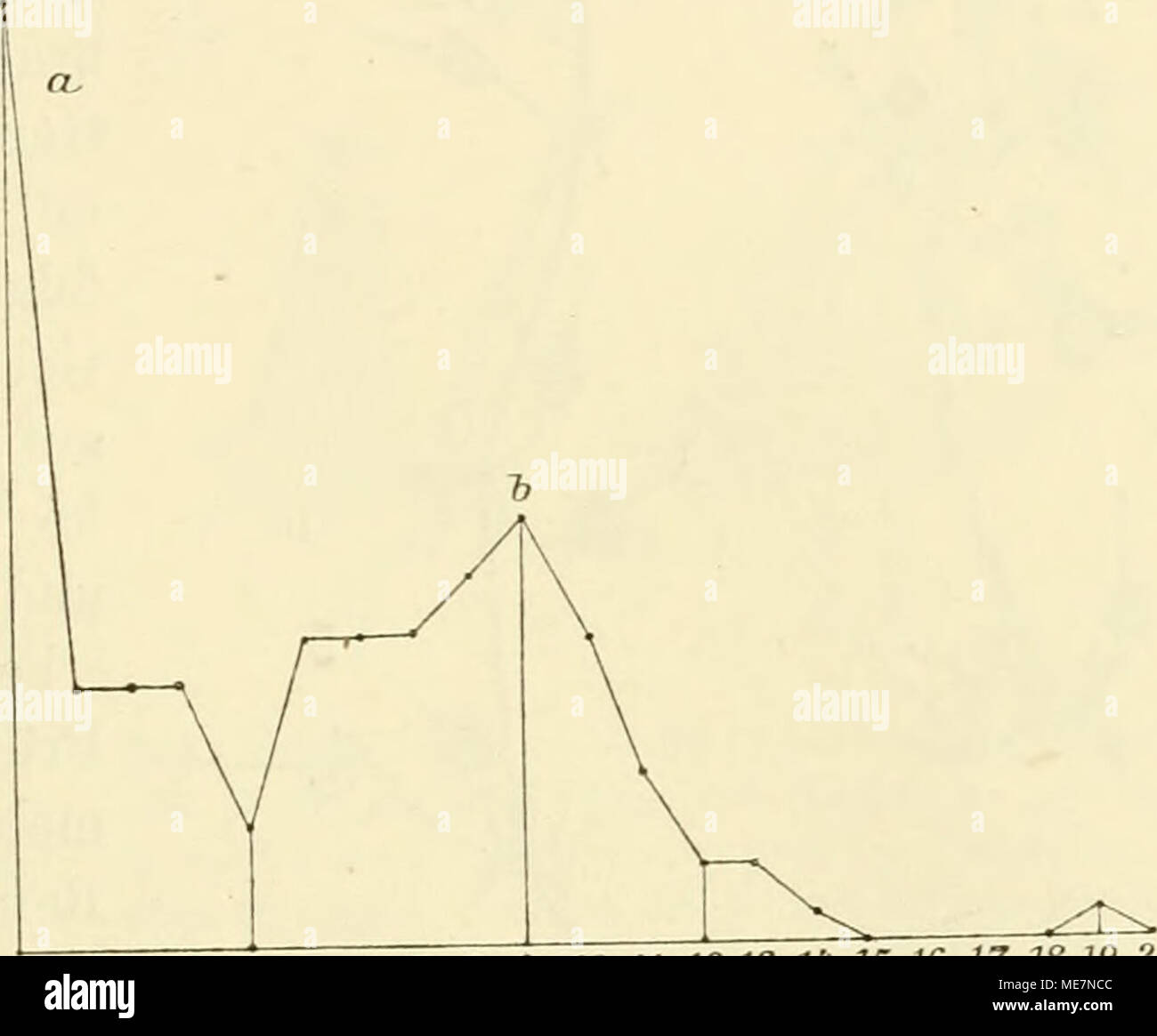 . Mutationstheorie sterben. Versuche und Beobachtungen über die Entstehung von Arten im Pflanzenreich. 0 12 3 5 6 7 S9 10 U 12 13 n 15 16 17 18 19 20 LTn. Abb. 117. Crepis hiennis Fasciata. Kurve über die Breite der Hauptstärame aller Individuen aus meiner Kultur von 1895. Die Zahlen unter der Abscisse deuten die Breite der Stämme in Centimetern Ein, 0 Stamm-, 1 Stämme nur am oberen Ende und 2 - 20 sterben Stämme auf der ganzen Länge abgeflächt. Höhe der Ordinaten weist die Anzahl der Würfel In-Dividuen ein. Gesammtzahl 150 Individuen, die einen Gipfel der Ätavisten, h Gipfel der Erben.^ Der atavistische Gli Stockfoto