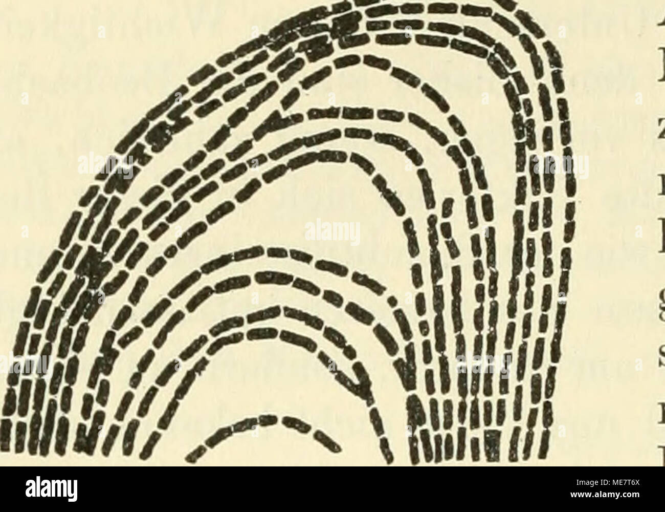 Mikroorganismen Sterben Mit Besonderer Berucksichtigung Der