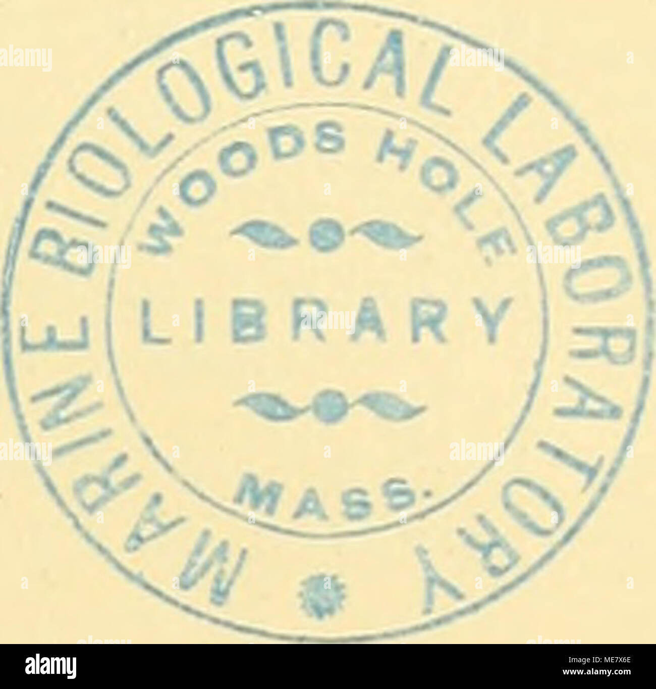 . Die Malaria, Studien eines Zoologen. I. geschichtliche Notizen. Xuttall (65 u. 66) und I. ülie (56 11. 57) haben schon in einer der verbreitetsten Fachzeit-schriften in ausführlicher Weise sterben hauptsächlichsten geschichtlichen Notizen über sterben, Mücken") als Malariaüberträger herausgegeben; demzufolge könnte ich hier nur eine unnötige, überflüssige Wiederholung bringen. Kl. verdienen jedoch besondere Einzelheiten eine weitere Auseinandersetzung, und stirbt, beabsichtige ich in diesem Kapitel zu thun. Als ich meine Untersuchungen einleitete, hatte sterben Mosquitotheorie einen neuen Stockfoto