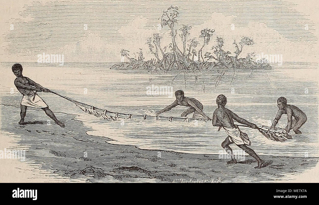 . Die Loango-Expedition ausgesandt von der Deutschen Gesellschaft zur Erforschung Aequatorial-Africas, 1873-1876. Ein Reisewerk in drei Abtheilungen. Fischfang mit primitivem Blätternetz am Flussufer. und Alt ein Theil der Arbeit nimmt: hier Werdener sterben auf dem Sande liegenden Kanus in Sandbaai geschoben, ohne Rücksicht auf sterben über den Köpfen zusammenschlagenden Wogen; dort sind andre Ca-noes mit reichem Fang von ihrer Fahrt zurückgekehrt, und 5/6 für die Rudernden Männer noch den günstigsten Moment für die Landung er-spähen, stürzt sich unsere Sterben jubelnde, schreiende Menge von ande Stockfoto