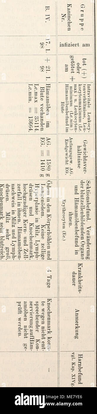 . LeukÃ¤mie Sterben als Protozoeninfektion; Untersuchungen zur Ãtiologie und Pathologie. äh ich Qj CO T 3 3 Ich w rD Ich '^13 P P P I O B p: 02 2 CD c: Tri B3 crg P^B CD>-j^> Ja CD CD O: B CBo-QO (5 CB S B CD&amp; B cc Tr'ro2B T - m r-, (JQ" 2. B O: ^ CD crc: 3-CD-O3 '^Cfq. CD-p crt; BSV! B Bits Abl a^CD -C:^N CC&amp; -? = tr?? 2 S i=i-CD "B W^B CD 5 "^O â ¢-tM O B C B B B p2-B Abl. 95 O^o X crq fS2 cti-n, 2. CT -. S B B^n 5B: LB-5 Â"^ cÂ" g B S O: b'tn B a> Sa-! O CR< 5 S== B-CD2B CD 3S-CfQ 3 3 B CD K-. Â^'*-i Ri2-whB-r.", B CD CR05B Stockfoto
