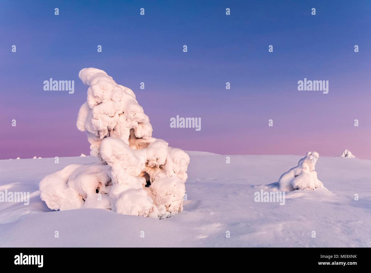 Verschneite Lappland Stockfoto