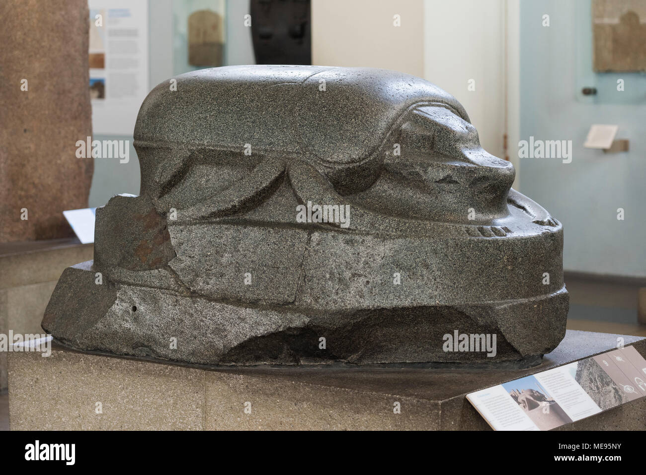 London. England. British Museum. Antike Ägyptische Skarabäus Käfer Skulptur, wahrscheinlich die Khepri, 3. oder 2. vorchristlichen Jahrhundert. Wahrscheinlich ursprünglich Stockfoto