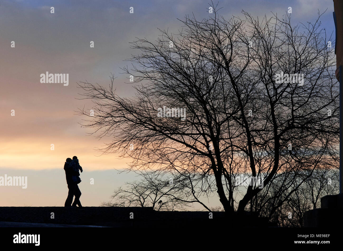 Sonnenuntergang im Park Kaivopuisto, Helsinki, Finnland. Stockfoto