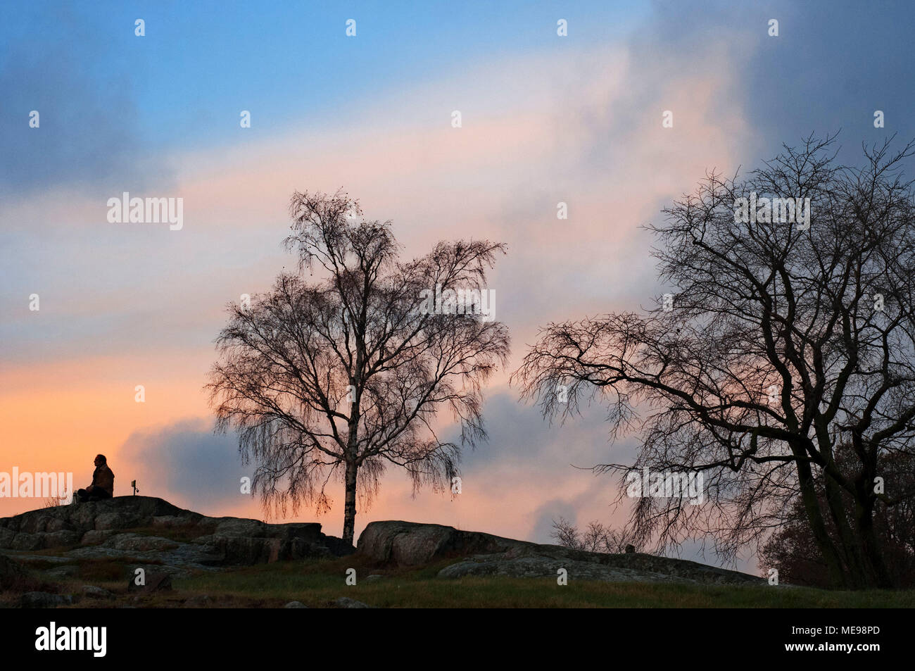 Sonnenuntergang im Park Kaivopuisto, Helsinki, Finnland. Stockfoto