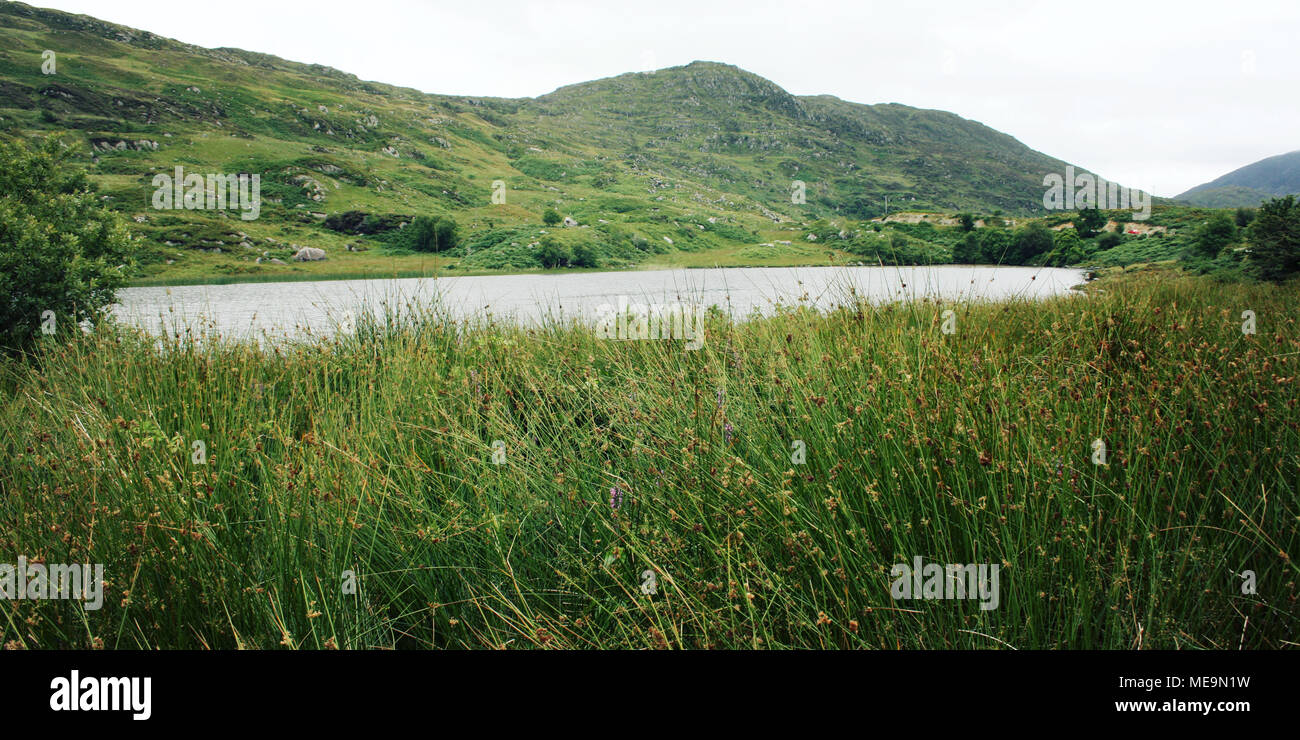See und die grünen Hügel. Einen malerischen Blick auf den Kerry Mountains und der Umgebung in der Grafschaft Kerry. Im Alter von Wirkung. Landschaft entlang des Ring of Kerry. Irelan Stockfoto