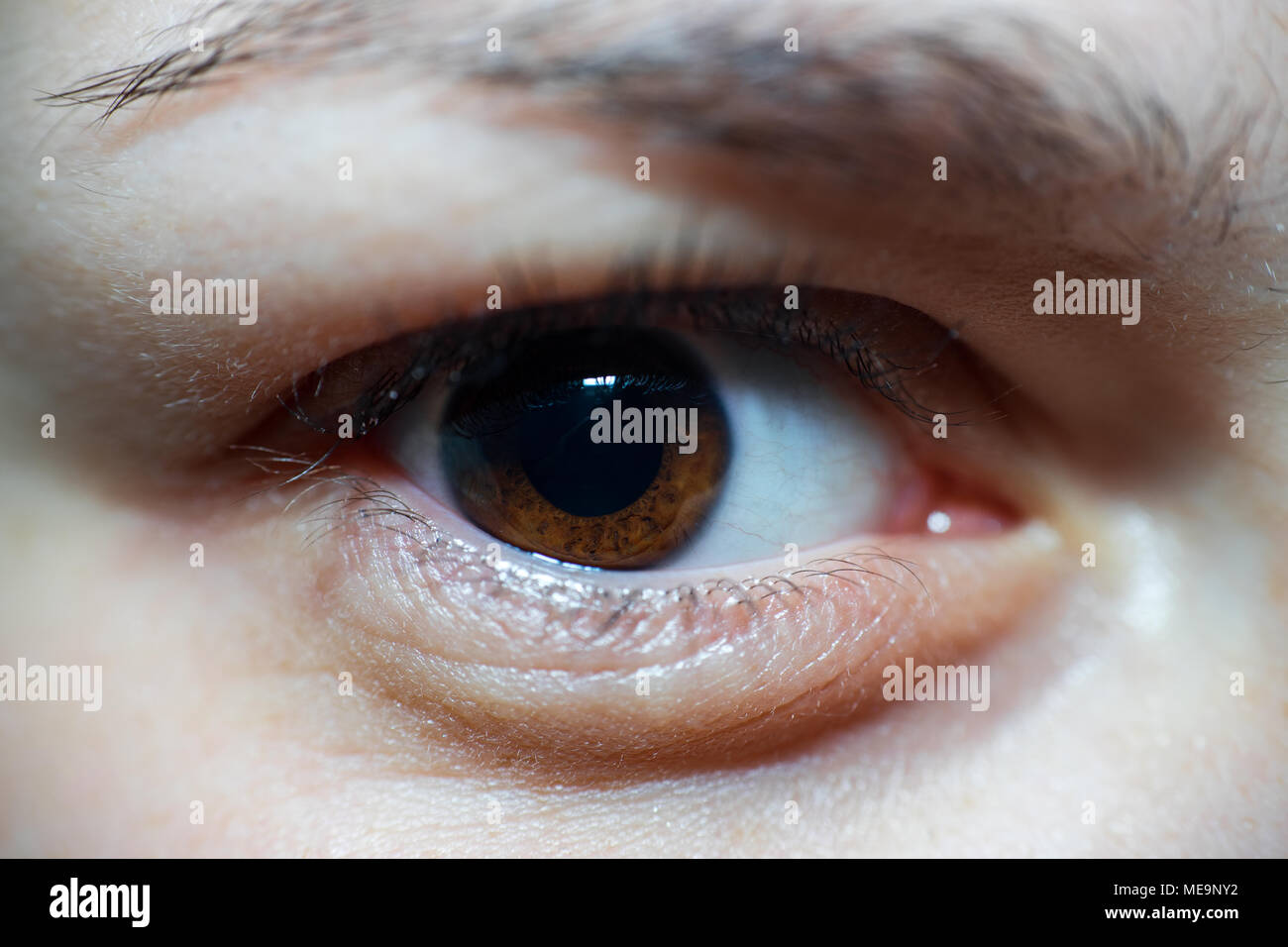 Nahaufnahme der Insightful Braun weiblichen Augen mit langen Wimpern Ab Kamera mit Wunsch Stockfoto