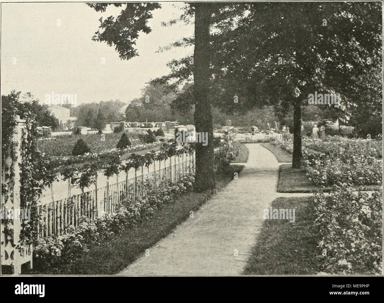 . Gartenkunst sterben. Aus dem Rosengarten Breslau: Blick über den mittleren Teil von Nord nach Süd. Phot. Heicke. Gärten gänzlich. Sie scheint sich überhaupt selten bei solchen Gelegenheiten einzufinden. Selten, aber doch hin und wieder! Der Anzuchtgarten als Glied der Park-Anlage. Hierzu vier photographische Aufnahmen und eine Grundriß-Skizze vom Verfasser. Die richtige Auffassung des sozialen Parkgedankens scheitert häufig an der Eitelkeit des Parcurbauers. Of this wird-Fachkollegen oder gar der Nachwelt zeigen Vorbildliches, er künstlerische Werte in die Gartenanlagen hineintrage Stockfoto