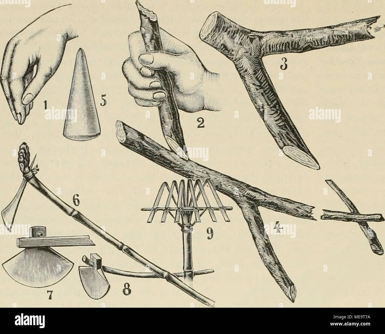 Gartenwelt sterben. Entstehung der Gartengerte. I. Scharrende Hand. 2.  Pflanzholz in der Hand. 3. Astgabel als Hacke. 4. Astgabel als Pflug. 5.  Steinbeil. 6. Bronzene Hacke. 7. Axt, durch Qucrstellng verwandelt: