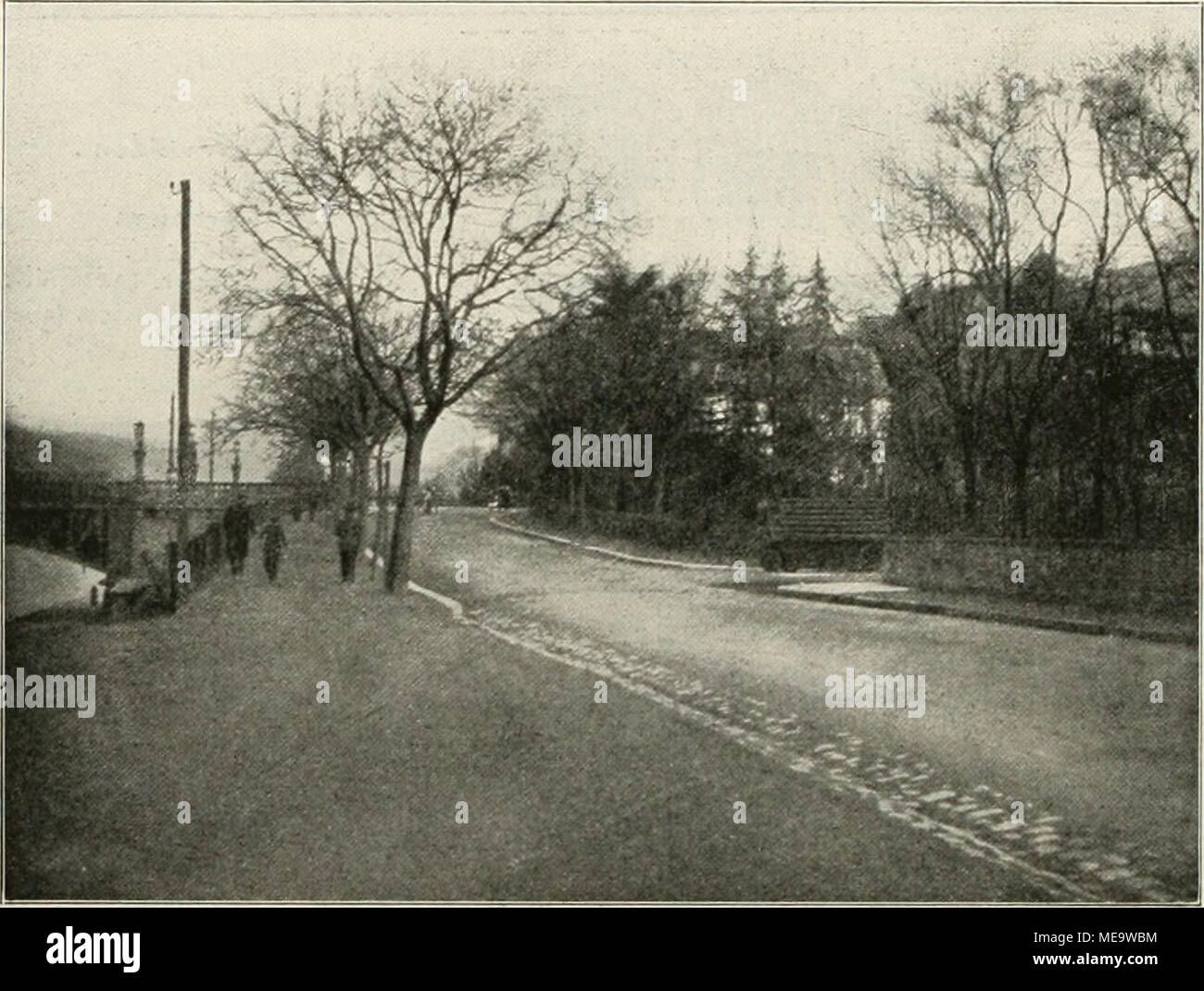 . Gartenkunst sterben. Abb. 5. Brückenkopf am Bismarckplatz in Heidelberg. Den Namen beiderseitigen Uferstraßen längs des Neckars der Baumpflanzung fällt eine wichtige Rolle zu. Am schönsten Dp in dm Baumwuchs ist das Stück Z iegelhäuser Landstraße (Abb sterben. 14, 15). Das Gelände steigt schnell seitlich steil ein, es bleibt wenig Platz für die Straße, sterben in hoher Ufermauer oder Böschung dicht neben dem induktionskopfhörern hinzieht. Auf der Bergseite stehen erhöht über Igv-Villen in Gärten, deren Bäume sich ein sterben Straße drängen und von da den Berg hinaufziehen: Überhängende Stützmauern, hochstehende Häuser Stockfoto