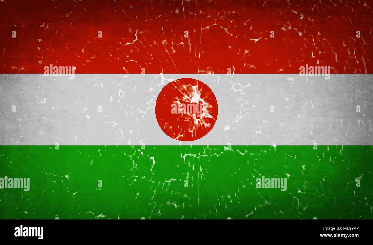 Flaggen der Niger mit zerbrochenen Glas Textur. Vector Illustration Stock Vektor