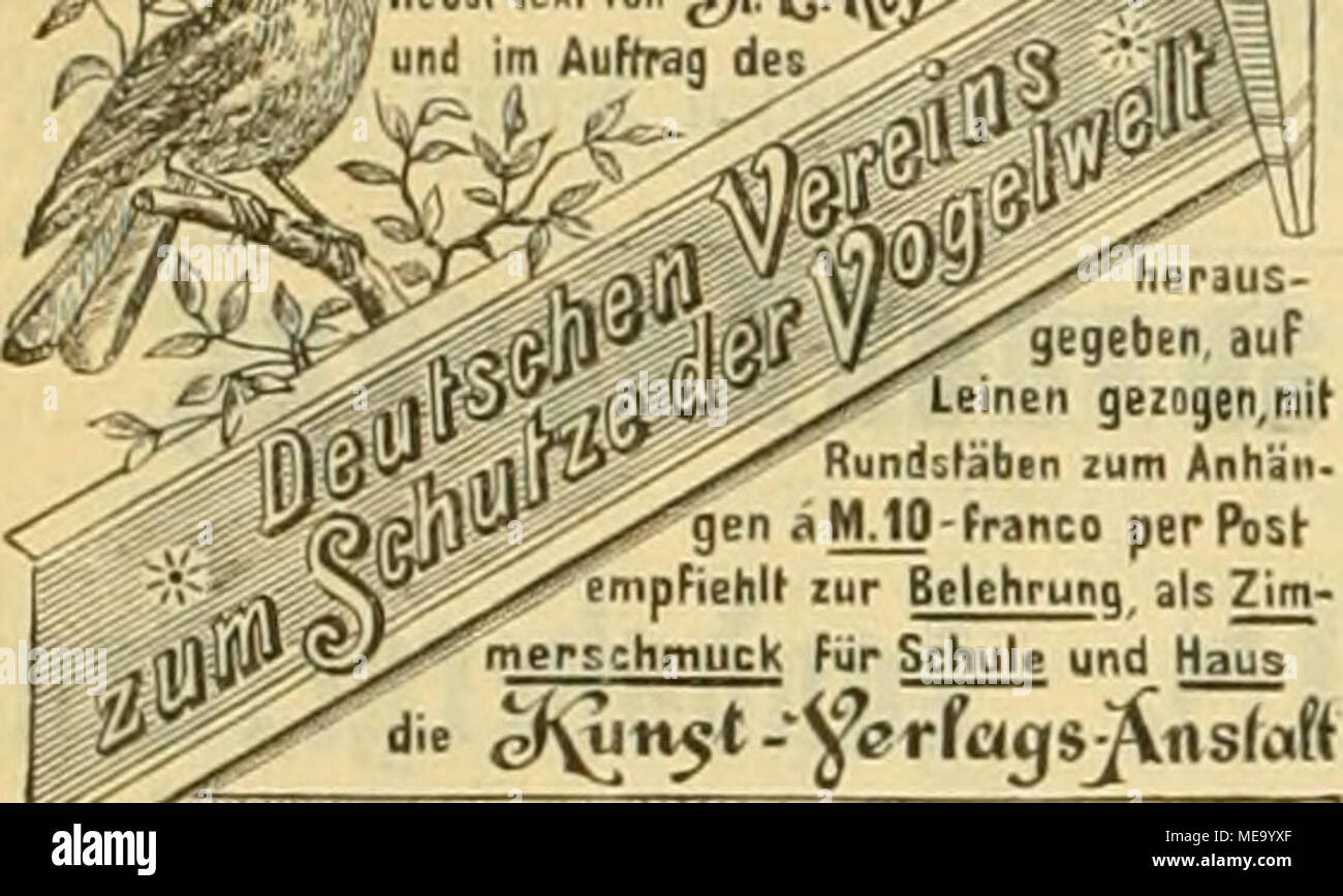 . Gefiederte Welt. ^ (9 [üstav jJcffltzscl^^ cra'i^e Audi durch Jede Bui eiiss. Ich lo o Tein reeü gemcffen, Stv. 5 M, Äilo 8,50 Ji. 1000 @ tc (. l,, o M.Jur Slnmctfung gutftt uiiD Sluföcmaörung der 3 HeöI=loflrmer, 30 4, Slinclfcncicr, ajclfjrouvm, "oflellelm, 9 IKT 5 fntlen, SoBelorgcIn, 9 lcftcr,® nincn U. a. 5) 3 vei 3 = liSe poHfrei. [207] Theodor Franck, SBartncn. Holil-, Klingel-Nnd Kirr-Vipl. © Mpfe^ Ie meine Lauf 2; Rute" (d | c Kad^ Jui ^''""" Srößter Slugroal ^ ich bei f) öci § ft reeUev 33 ebieniing unb8 Jage^ Jrobejeit. TOan oerlange^^ reiälifte ober fomme jelbfi. [208] S. Molzky, Ggt^^ att en (Sln). S Stockfoto