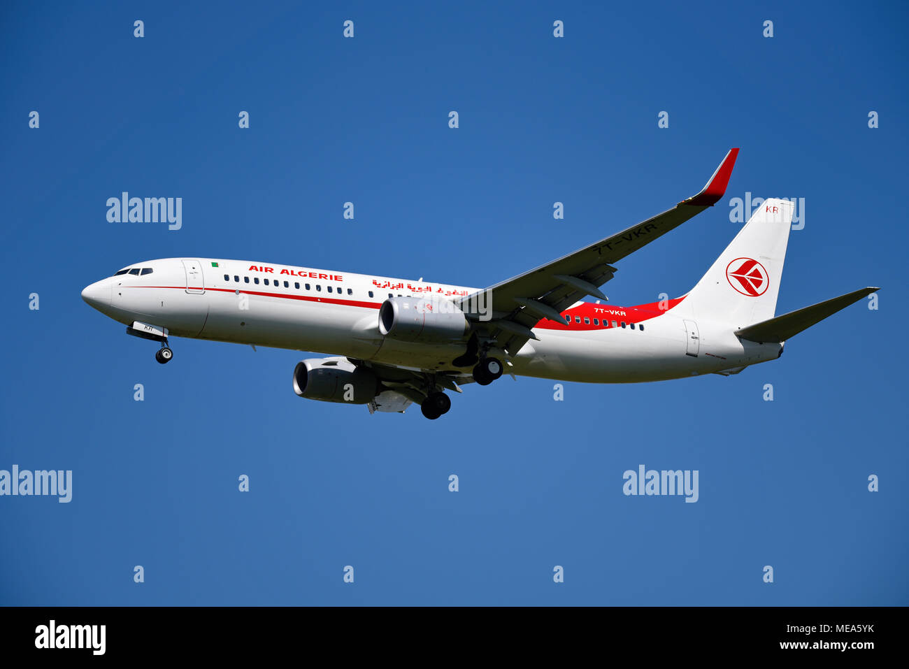 Air Algerie Boeing 737 Jet Flugzeug landet am Flughafen London Heathrow, Großbritannien, in blauem Himmel. Boeing 737-800 7T-VKR Stockfoto