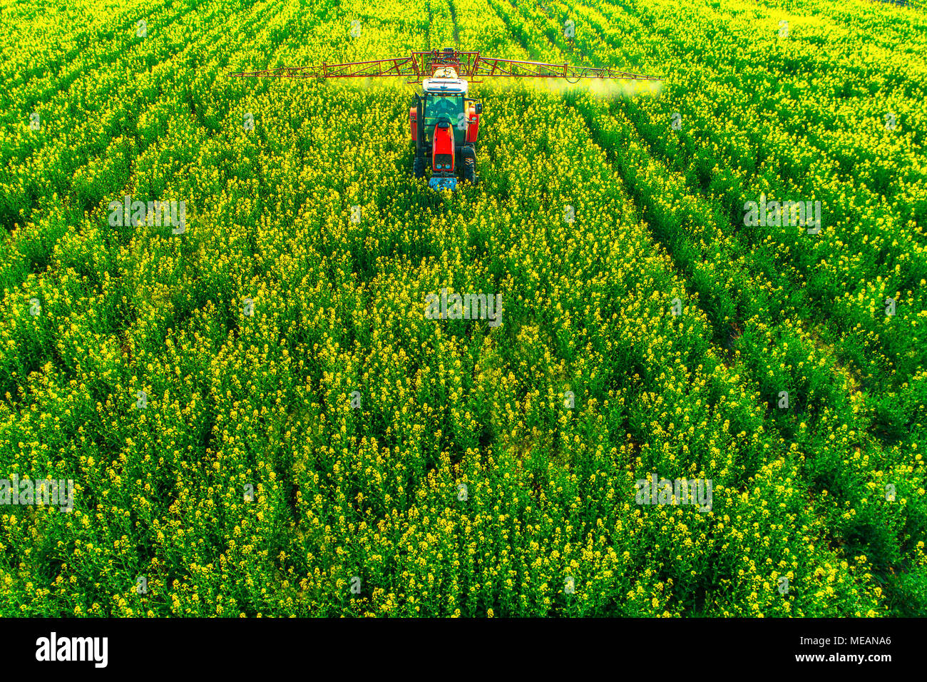 Luftaufnahme von landwirtschaftlichen Traktor Pflügen und Spritzen auf dem Feld. Stockfoto