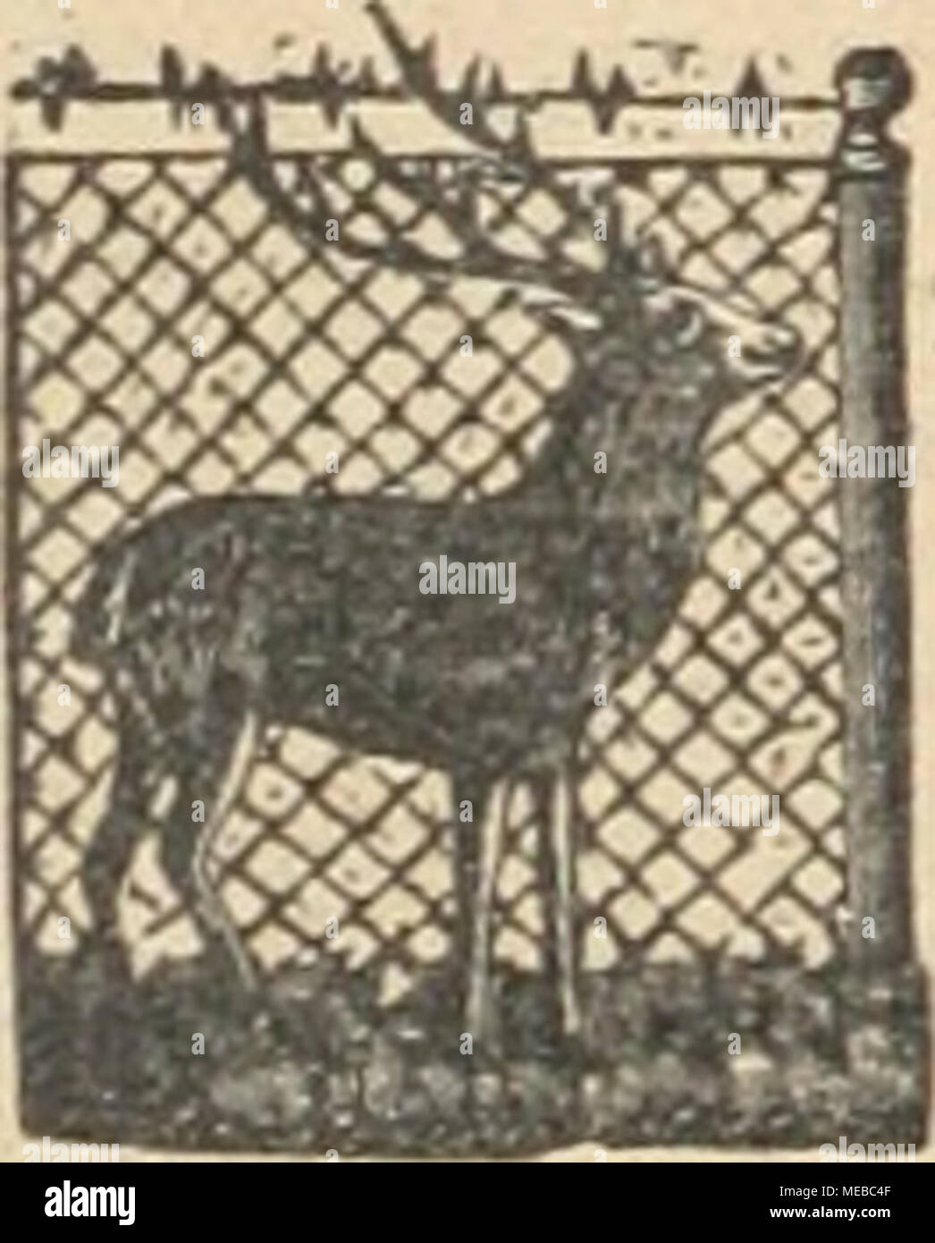 . Gartenkunst sterben. Schaum Si Van Tol^ Baumschulen BoskO Op-Holland Archiv Rhododendron, Azalee, Kirschlorbeer, Magnolien, Buxus Taxus, Blautannen, Hex. Schlingpflanzen, Treibpflanzen, Coniferen usw. = Katalog auf Anfrage. == Extra starke Park-u. AlleeMume bis ich 5 cm Darcimiesser. Starke Ziergehölze und Sträucher. Grosse Coniferen bis 4 m hoch. (Taxus baeeata bis 450 cm hoch.) Immergrüne Gehölze usw., alles regelmässig verpflanzt, in gröberen Sortenwahl. =^== Besichtigung erwünscht. Liostenlos jllustrierter Katalog. ^=^ G. Frahm, Baumschulen, Elmshorn ich. Holstein. zur Anlage von Wintergärten, Stockfoto