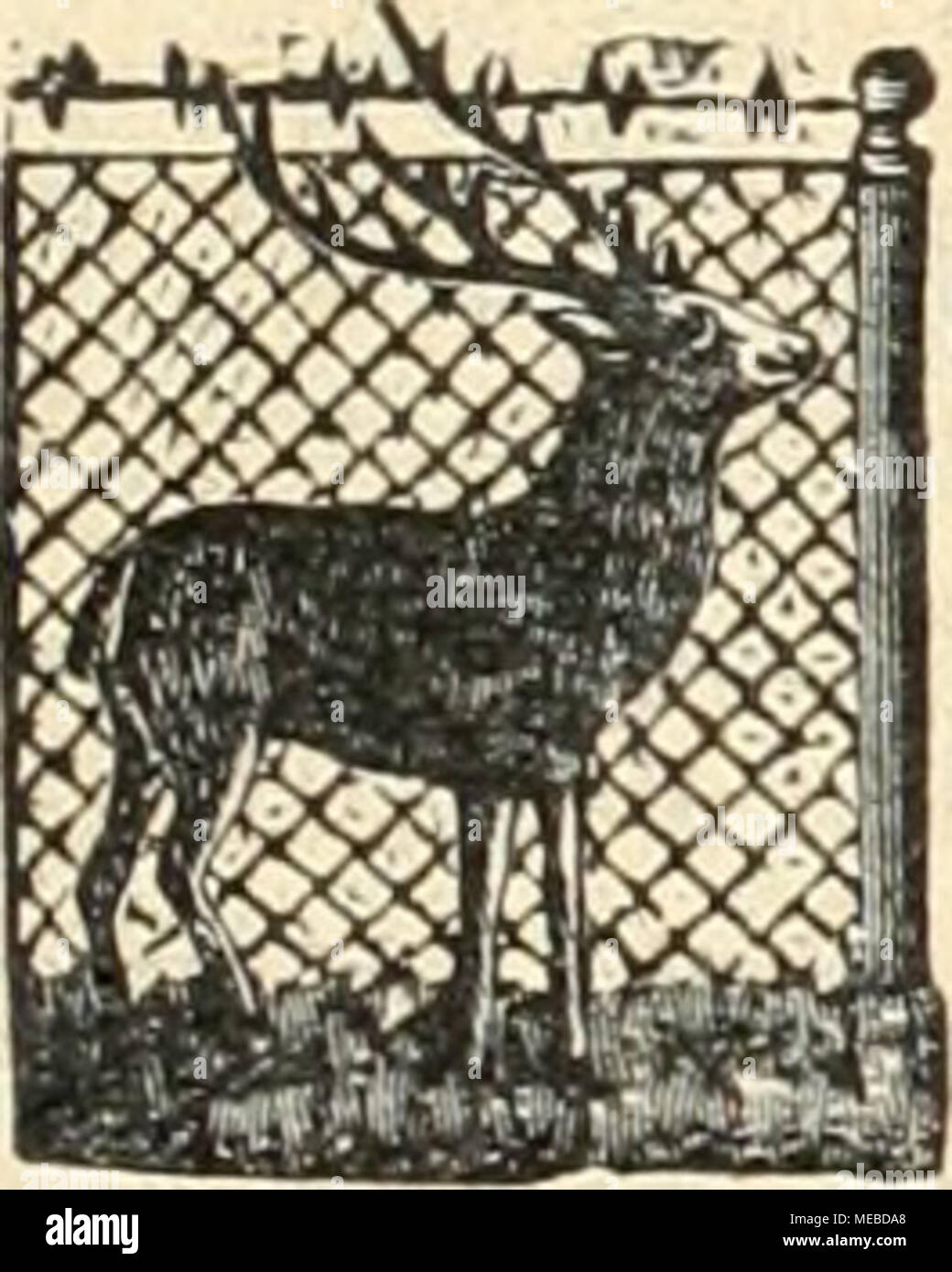 . Gartenkunst sterben. Thür. Crottensteine zur Anlage von Grotten, Ruinen, Winter- Gärten, Felsenpartien, Wasserfällen, Böschungen. Preislisten, Skizzen u. Referenzen gratis u. franko. Otto Zimmermann * Hoflieferant greussen ich. Thür. E3 E3 E3 EX3 E3 E3 E3 3 £ £ £ 3E3 3E3 3 £ £ 3 E3 E3 S3 3 £ £ 3 E 3 £ 3 QE 3 E 3 3 3 £ £ £ 3 E3 Starke fllleebäume. Grosse Vorräte von Linden, Ulmen, Ahorn usw.in prachtvoller, ver-pflanzter Ware, mit schönen Kronen. g Sträucher n. baumart. Gehölze g SMF Benutzer Hilfe: selbsttätige "Rasenbewässerunfl "für Parks und öffentlichen Natur. Prospekte und Anfragen durch IA. Hiller, Grunewald-Berlin. £ 3 E3 E3 £ 3 E Stockfoto