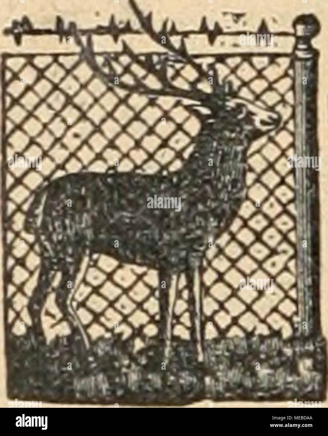 . Gartenkunst sterben. Balkonnelke Frau Nicholson, sattrosa, Darm im Wuchs und reichblühend offeriert geg. N. N. %. . Mk. 25.- 2,5 Stück "8.-Emil Münz, Waiblingen. ^ Sa &Lt;ml3 uns für Spaliere, Lauben, Beerenobst, Rosen, Dahlien, Obstbäume, Pflanzen etc. Russ. Bastmatten, Muscheln. Für kokosstricke Baumbänder und Ernteseile. Preise für: 1 Tostp. 50 kg, 100 kg. Anerbeste Kokosstricke. 2. ä. j 19.- 36.- Mk. Edelraffiabast 4.50 40.- 75.-,, Portng. Zierkorkholz. l..) 0 9 - 18.-,, Russisclie Birkenrinde. 2,35 7,50 1750, Carl Pftitzner, Import, Bergedorf 25 (Hamburg). ^^. P*HFL/VIBURQ. Nildprey&AMP;S Stockfoto