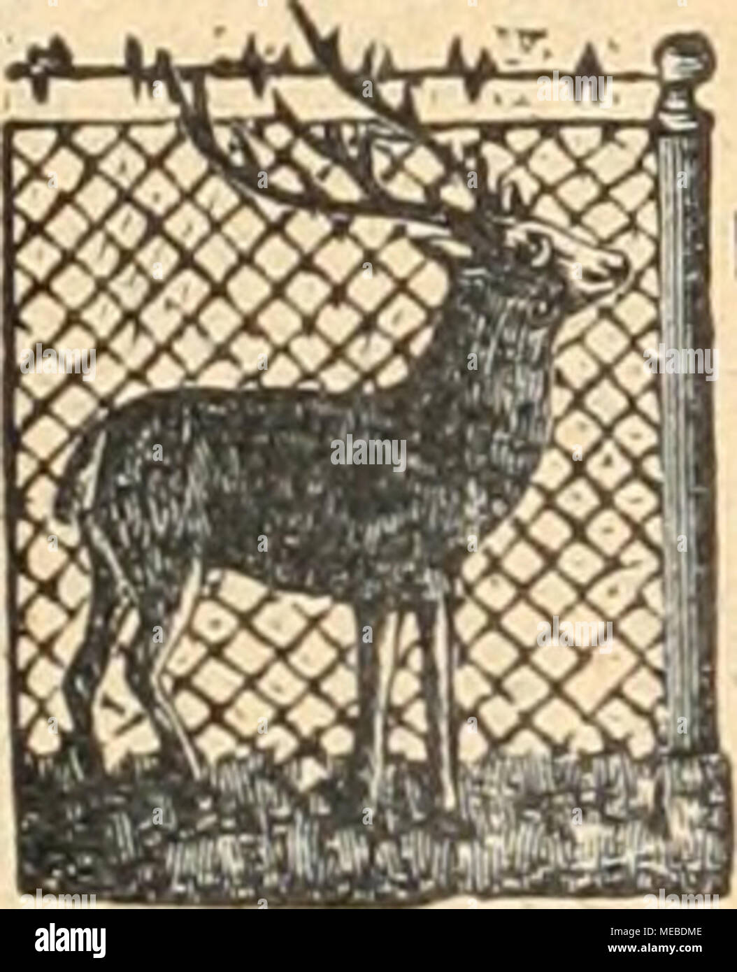 . Gartenkunst sterben. Thiir. Grottensteine zur Anlage von Grotten, Ruinen, Winter-gÃ¤rten, Felsenpartien, WasserfÃ¤allen, BÃ¶schungen. Preislisten, Skizzen u. Referenzen gratis u. franko. Otto Zimmermann "Hoflieferant greussen ich. ThÃ¼R. tt Neueste selbsttÃ¤tige RasenbewÃ¤sserung" für Parks und Ã¶ öffentliche PlÃ¤tze. Prospekte und Anfragen durch M. Hiller, Grunewald-Berlin. QaE3E 3E3 Â £ 3 E3 E3 E3 E3 Â £ 3 A £ 3 E 3 £ 3 aE 3 - 3 £ £ 3 QE3 QÂ Â £ 3 E3 E3 Â £ 3 g Starke fllleebÃ¤ume. Â £ 3 grosse VorrÃ¤te von Linden, Ulmen, £ 3 8 Ahorn usw.in prachtvoller, ver-Â £ 3 pflanzter Ware, mit Schöbel nen Kronen. | StrÃ¤ucher Baumart n. Stockfoto
