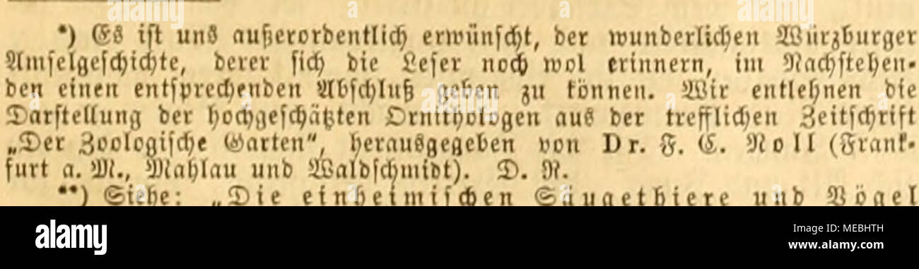 . Die gefiederte Welt.iivirf) ffjrcm 5 Hi 6 ni Unbi" d) aben in ber SSanb. unb fförft" Wirt^ lc^ Aft", ven älbolf unb ilarl SDlütlct. (Sduiig, üietUia Don evnft flfil, 1873 ^. lingen bc §^^ auärotfjfdiroanj bcobad tet unb&lt; xU etroaS SSereiiiäcItcS in Bem fonft fo ausgeprägt uü^ lidieu Scbenäroanbet bcS 6 Tor § i); t eröffentlid Ijat, fo Mühle mann nenerbingä (Jin unb roieber Ba, mo-FID) bie Sd) niaräamfcl in gröJBcrer 2 lnäal) l in © Arten unb^ 45 arf' 5 ber © Tobte der unb eine anberen menf (^ (id) en Jßotju: PLÄT 5 cn anficbclfe, biefen SSogel als einen 3 Jeftplünberer crfannt (Joben. y^n ücrrounbcrn ift nur baä Löwen, Stockfoto