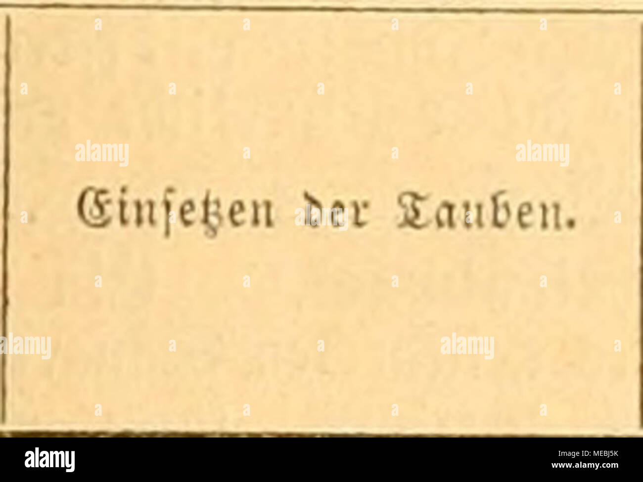 Gefiederte Welt Su F Iijvf L C Giiebenau Stejlife Seljlenbctf Ilaannenfca 9 Bannenfa E Hbetitt A C Rog Sreuf Fflrog Ijuftcn Ba Fett Sliiiabeliurij Nigjiuttei Gieiliea Enbes 2 Evriiin Ohne Iaalb Sn Bev Oja Je 8