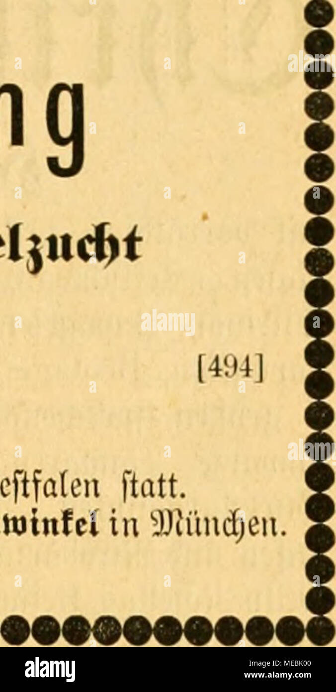 . Gefiederte Welt. ^ ic © ro^ljanUluiig üauf (Bcbr. BciMcr in § aDe q. S.L) je^t gronc Transporte nie: [495] Stftrilbc,. t'clenafafancßen, gcfccnbürscl, © olbbriiftdien, Sran^ eböcfcfcen, Stgerfiiifen, Mmaratiten, 6 crbDii 6 Ieu, 3 ebrafinfeii, (*) KN-Ifterd fIchic, Wuäfatfinfen, 5) fcBd) eii bunte, ilbctfafäne^en, Sanbfinfeu, 5 tcnncn, geujöbnltdie unb s'eiiiHdi UH' ifie SieigDögcf, JttlaSiiögcI", "J., Virabiegiinttiucn iDominitanernnttaien, ST-iamaittfinfen, ich^^ Pfifli irttaubs "fi-.",,". .. ". ". ,, Papctgeieu, 5] cubDÜänber, 3 nfa =, =, 5 iafcn Sfiofa=, feimc grc>|"; c unb flcine gelbbäubige Stockfoto