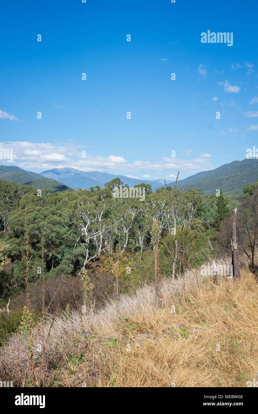 Mount Feathertop, Great Alpine Road, Hell, Victoria, Australien Stockfoto