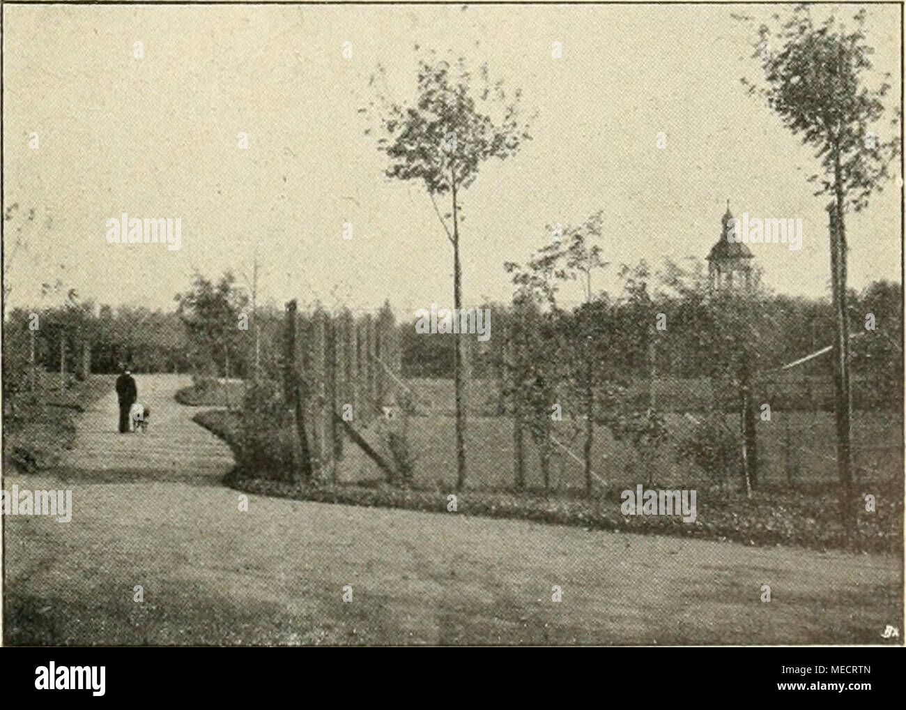 . Gartenwelt sterben. Tennisplätze im Stadtpark zu Tarnowitz, O.-S. Stockfoto